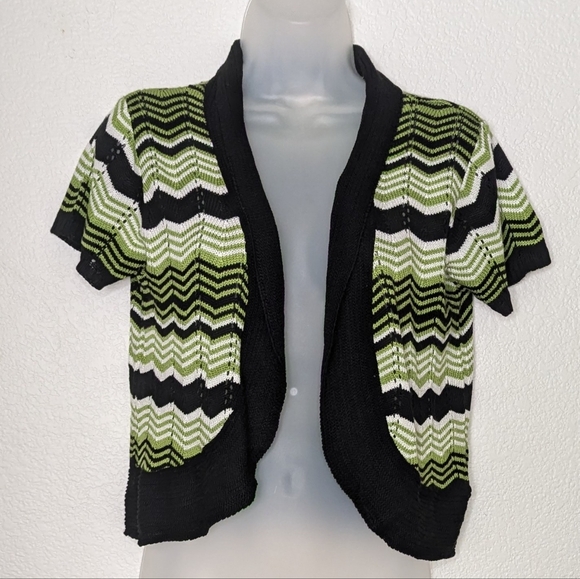 Isela Sweaters - Isela Cropped Cardigan Chevron Knitted Sweater Pistachio Women's M